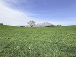 IMG_4818
