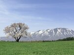 IMG_4819