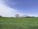 IMG_4821