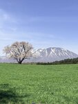 IMG_4822