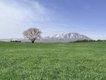 IMG_4834