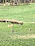 IMG_4869