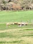 IMG_4872