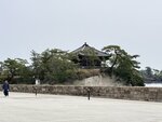 IMG_5029