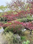 IMG_5096