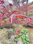 IMG_5098