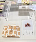 IMG_5252
