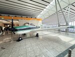 IMG_5273