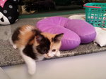 2013-09-09-22-41-28_photo - Ｕ s