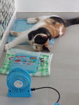 2014-07-25-12-38-34_photo