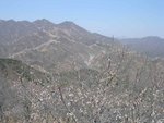 DSCN1496