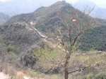 DSCN1498