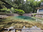 IMG_20240515_141310
