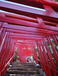 IMG_20240515_153929