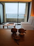 IMG_20240512_160631