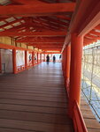 IMG_20240514_103213