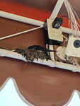 IMG_20240514_105737