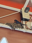 IMG_20240514_105743