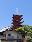 IMG_20240514_131933