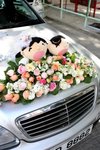 我對花仔花女呀...係咪好"正"呢??
