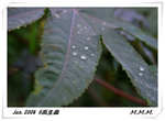 DPP_00094