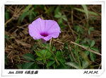 DPP_00096