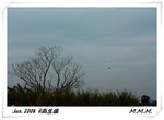 DPP_00097