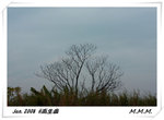 DPP_00098