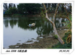DPP_00103