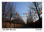 DPP_002411