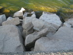 20080819_Cycling 008