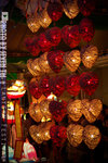 DSC_0658 copy