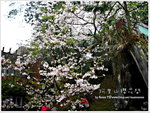 DSCN0824