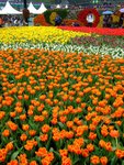 DSCF4184