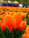 DSCF4191
