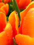 DSCF4193