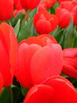 DSCF4196