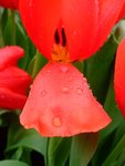 DSCF4198