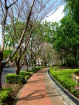 DSCF4720