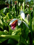 DSCF4772
