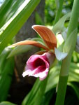 DSCF4777
