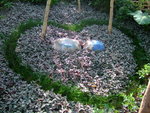 DSCF4797