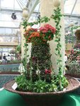 DSCF4970