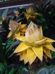 DSCF5057