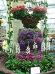 DSCF5059