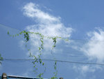 DSCF6979