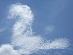 DSCF6991