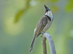 _DSC0048 copy