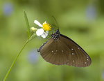 _DSC0123 copy