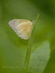 _DSC25061 copy